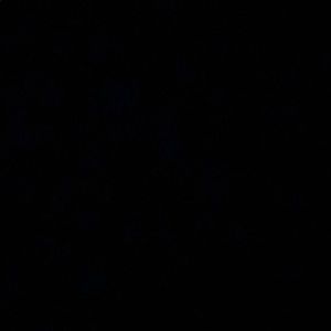 Meet your Posher, Gene